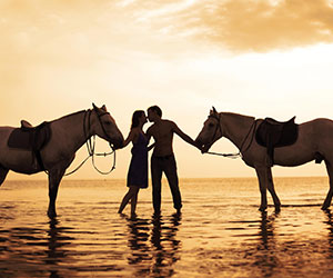 equestrian001