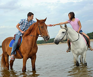Equestrian professionals spend a lot of time focused on what?