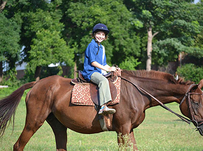 equestrian06