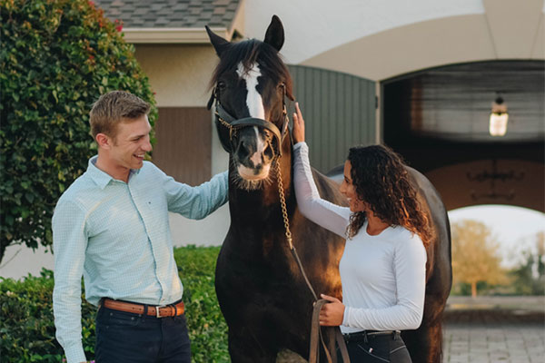 Tips of Meeting Lady Equestrians